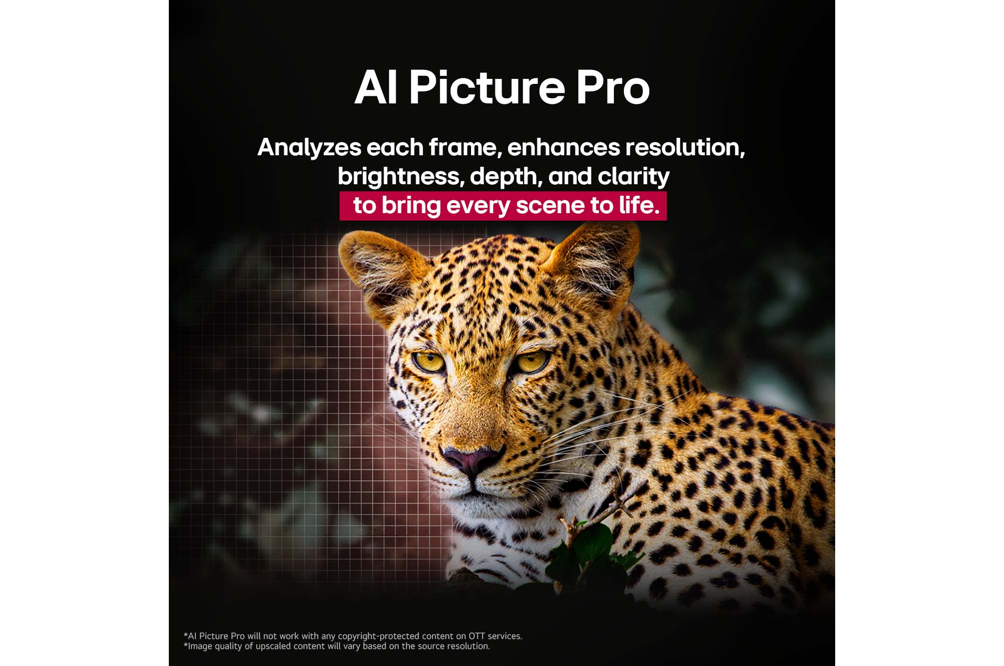 LG OLED65B56LA 65 Inch 4K OLED Smart TV (2025 Model) | α8 AI Processor, Dolby Vision & Atmos, 120Hz Refresh Rate, webOS 24, VRR, G-Sync, HDMI 2.1 |